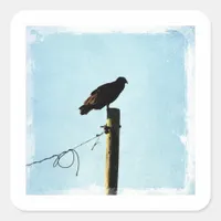Vulture Square Sticker