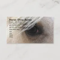 Palomino Horse Shoe Acres Business Card