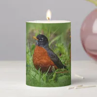 A Curious and Hopeful American Robin Pillar Candle