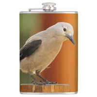 A Curious Clark's Nutcracker Flask