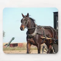 Rural Amish Horse and Buggy Mouse Pad