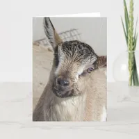 Cute Goat Card