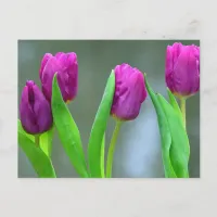 Pretty Purple Tulips Easter Postcard