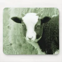 Sweetheart's Lamb in Greenish Tones Mouse Pad