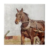 Kalona, Iowa Amish Horse and Buggy Ceramic Tile