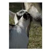 Milk is Good