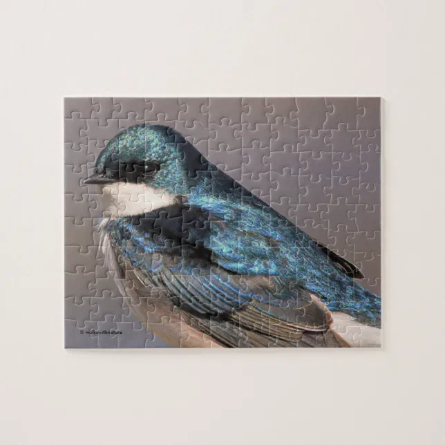 Stunning Tree Swallow Songbird on the Wire Jigsaw Puzzle