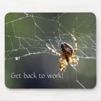 Mousepad - Sunlit spider