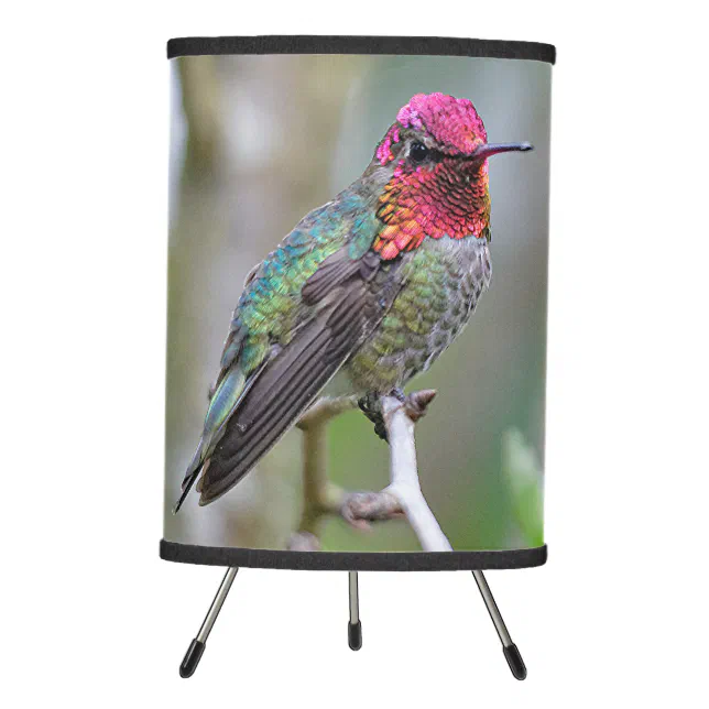 Stunning Male Anna's Hummingbird on the Plum Tree Tripod Lamp