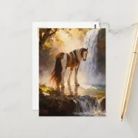 Gorgeous Pinto Gypsy Vanner Horse at the Waterfall Postcard