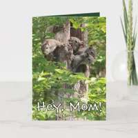 Funny Squirrels Animal Custom Text Father's Day Thank You Card