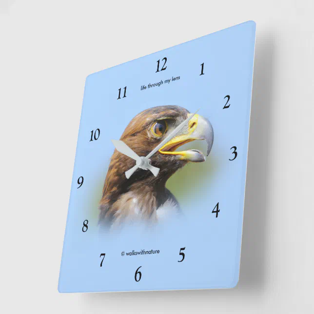 Vision of a Beautiful Young Golden Eagle Square Wall Clock