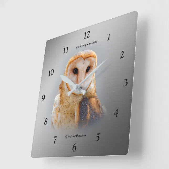 A Serene and Beautiful Barn Owl Square Wall Clock