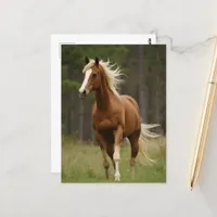 Sorrel With Flaxen Mane and Tail Postcard