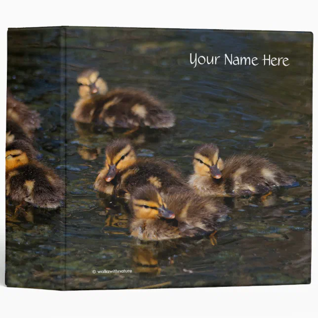 Cute Overload: Mallard Ducklings Binder