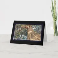 A Most Beautiful Tree Card