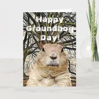 Happy Groundhog Day To You Holiday Card