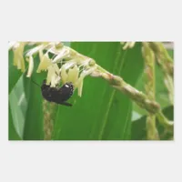 Corn pollen is yummy to the bees today. rectangular sticker