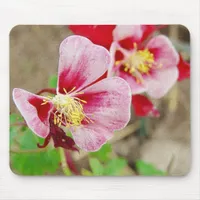 Pretty Flowers Columbine  Mouse Pad