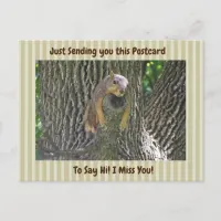 Cute Squirrel "I Miss YOU" Saying Hi Postcard