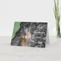 Been Thinking About You, Squirrel Photo  Card