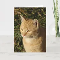 Butter the Kitten All Occasions  Card