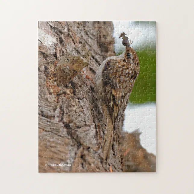 American Treecreeper with Bug Jigsaw Puzzle