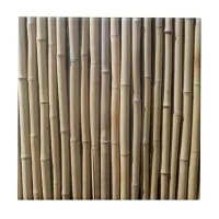 Bamboo Effect Ceramic Tile