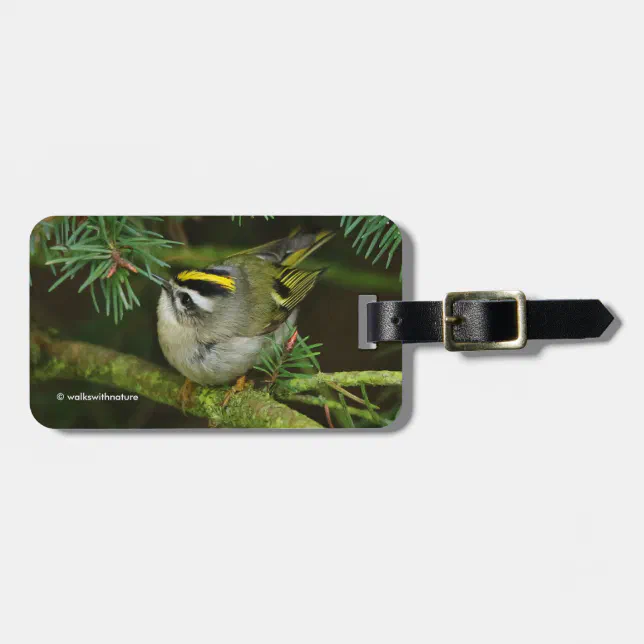 Cute Little Kinglet Causes a Stir in the Fir Luggage Tag