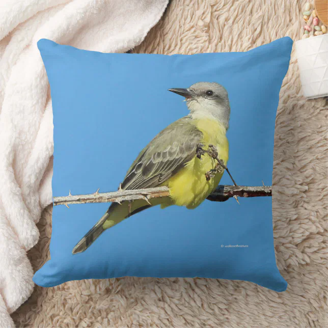 Stunning Tropical Kingbird on Blackberry Branch Throw Pillow