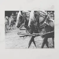 Working Draft Horses in Black and White Postcard