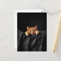 Adorable ginger kitty peeking at you postcard