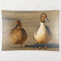 Funny American / Northern Pintail Ducks Gothic Trinket Tray
