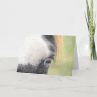 Blue-Eyed Horse Birthday Card