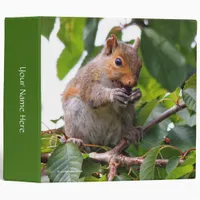 Cute Cherry Picking Eastern Grey Squirrel 3 Ring Binder