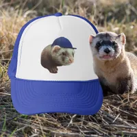Ferret Wearing Blue Headgear Photo Trucker Hat