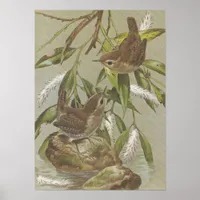 Vintage Wrens Poster