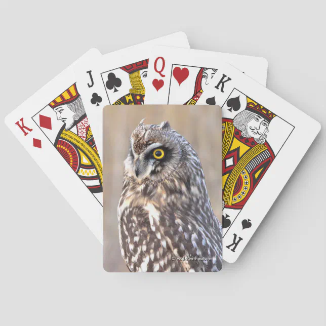 Stunning Portrait of a Short-Eared Owl Poker Cards