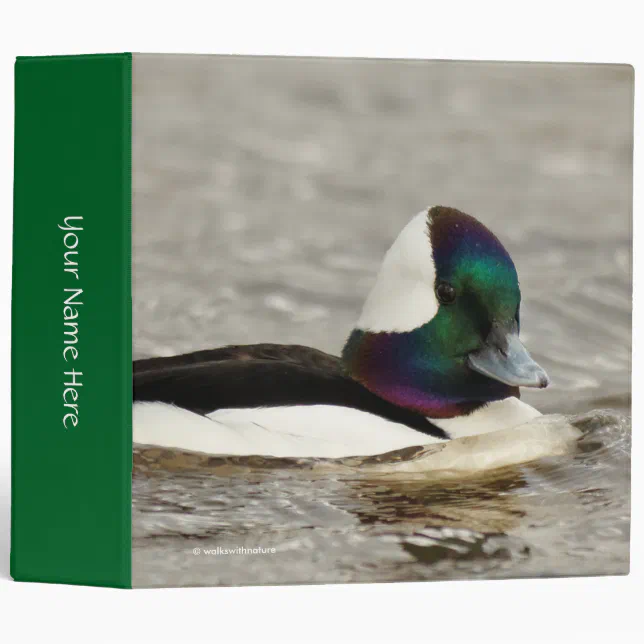 A Charming Bufflehead Duck Swims By 3 Ring Binder