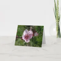 Card - note - Pink Bloom