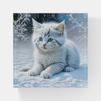 Cute White Cat Playing in the Snow  Paperweight