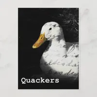 Quackers Postcard