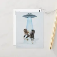 UFO picking up a Gorgeous Horse Postcard