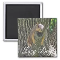 Lazy Day Funny Squirrel sleeping in Tree Magnet