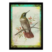 Vintage Hummingbird