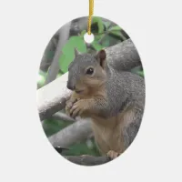 Merry Christmas ya nut Funny Squirrel Ceramic Ornament