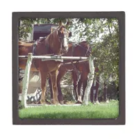 Amish Horses at the Hitching Post Around Apples Jewelry Box