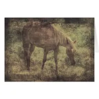 Horse Memories Grunge