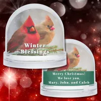 Cardinal Pair in Pine Tree Winter Greetings Custom Snow Globe