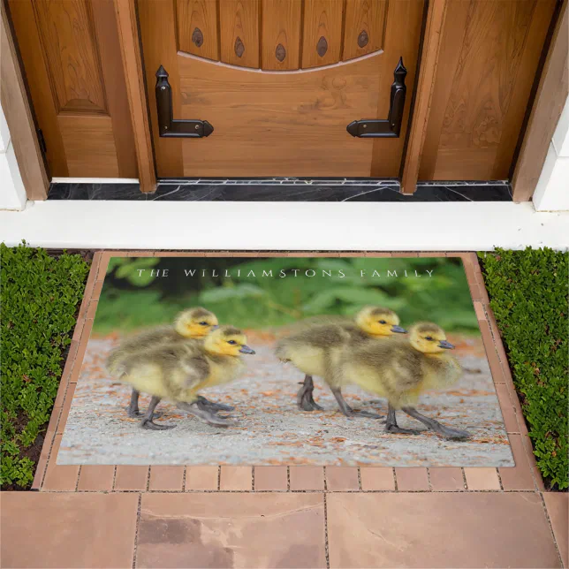 Cuteness on Parade: Canada Goose Goslings Doormat